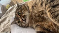 Francesca Cantarelli