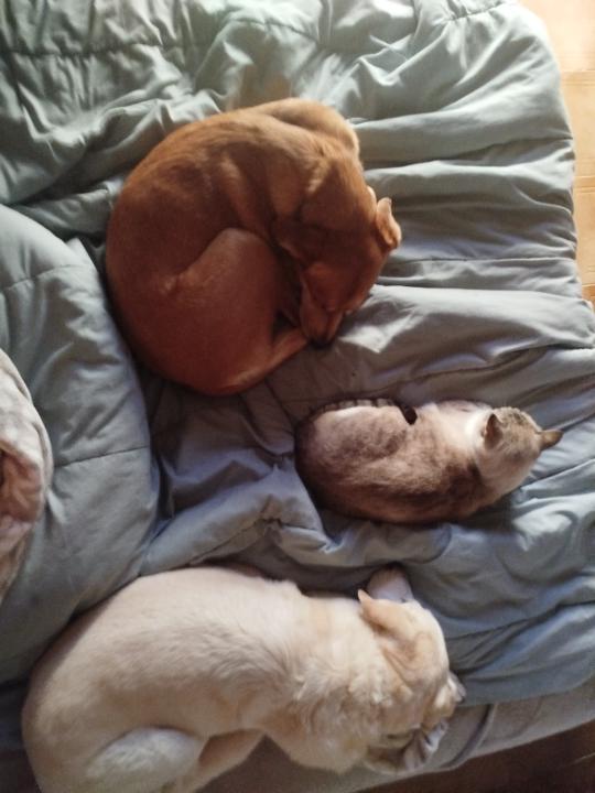 Annabel Ureña López