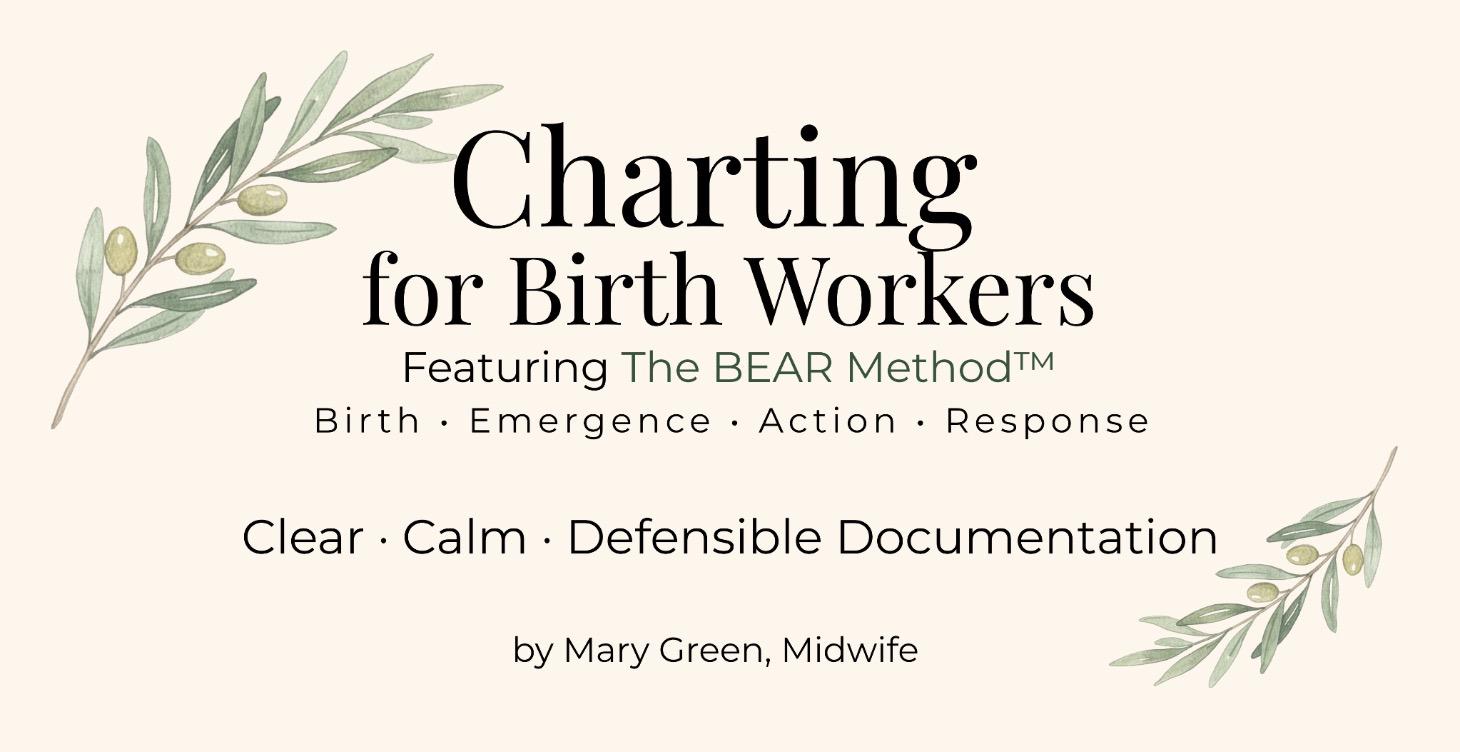 Charting for Birth Workers — With The BEAR Method™