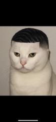 Justin Feasel