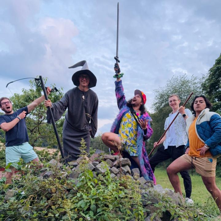 A Wizard meets a wild Goose 🧙‍♂️🪿