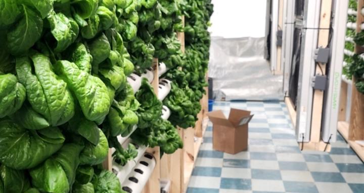 Profitable Indoor Agriculture