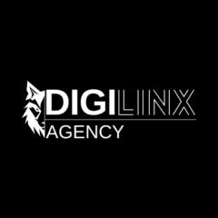 DigiLinx Agency