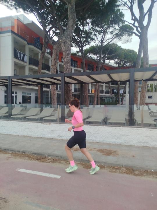 Aina Forns