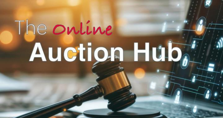 The Auction Hub
