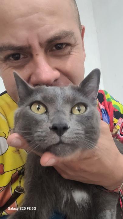 Velandia jovel Daniel Andrés