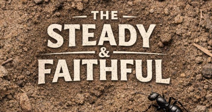 The Steady & Faithful