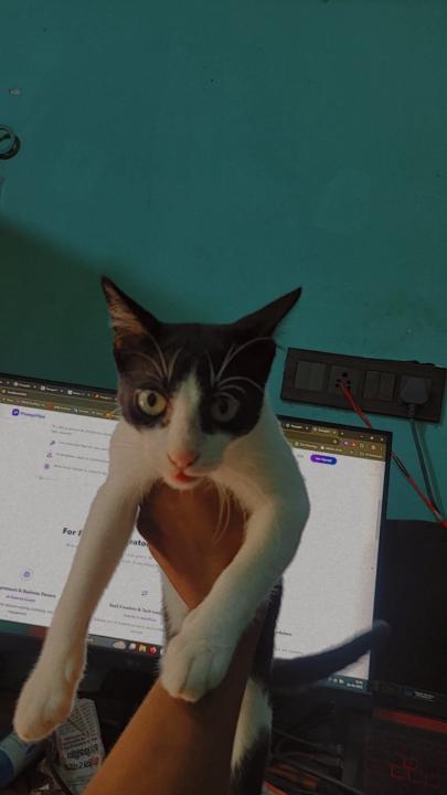 Shreyansh Kumar Basak