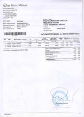 Djenana Djana
