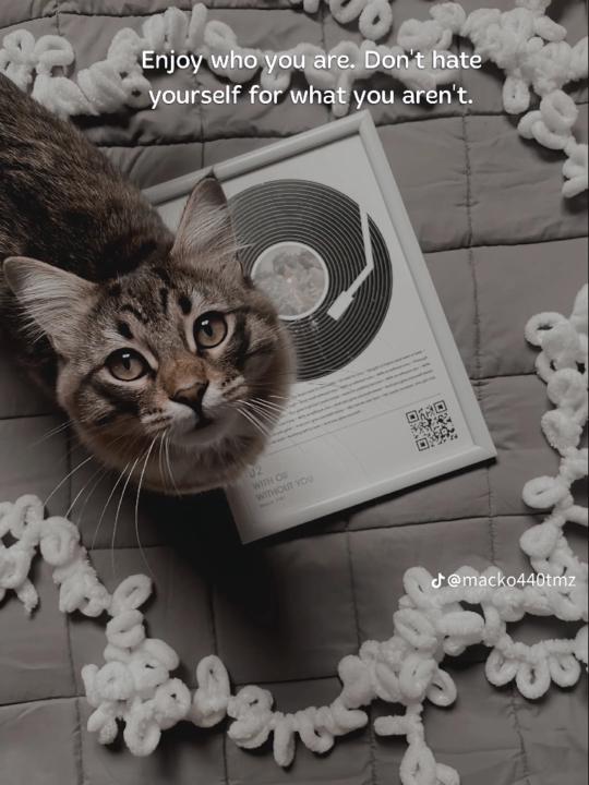 Garth Elshadai irsla