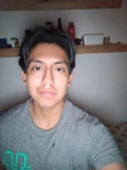 Bryan Leonardo Salto Salao