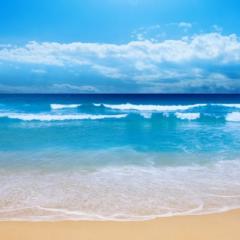 Šaptač.SV Šaptač.SV