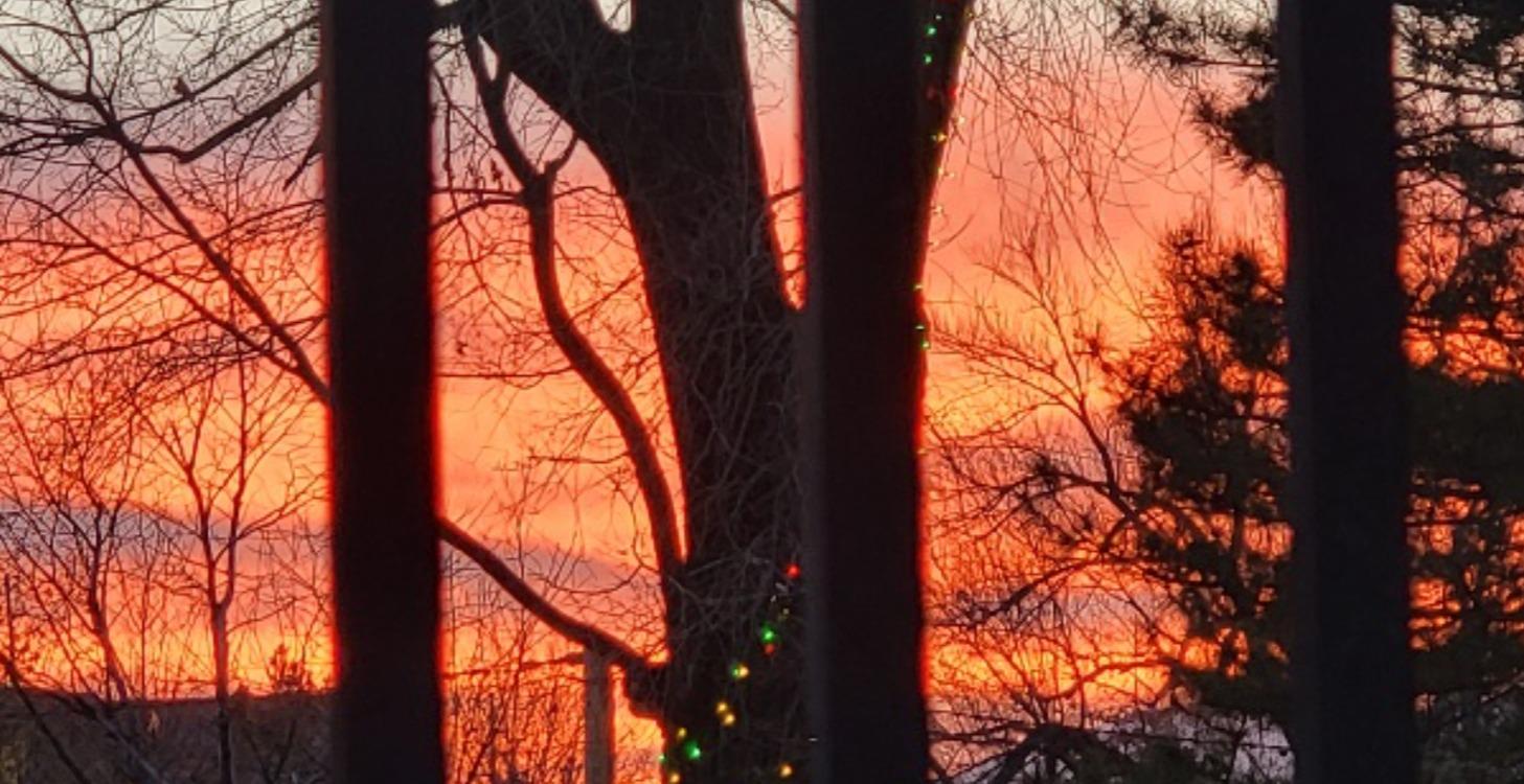 Learn to love photography