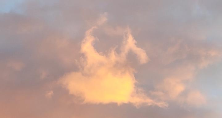 Absent Minded Neurospicy