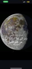 Hani Osman