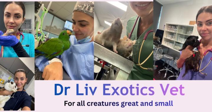 Exotic Pet Education Platform