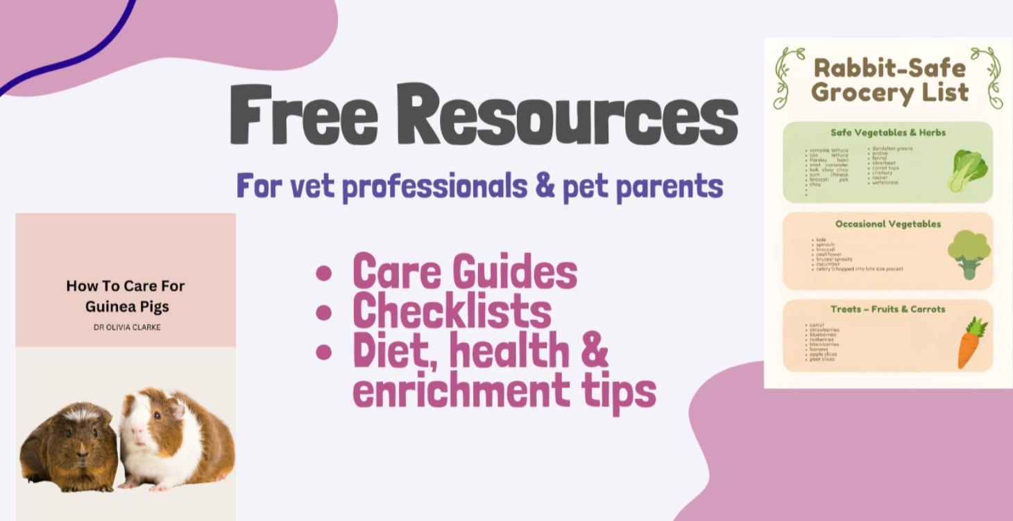 Free Resources