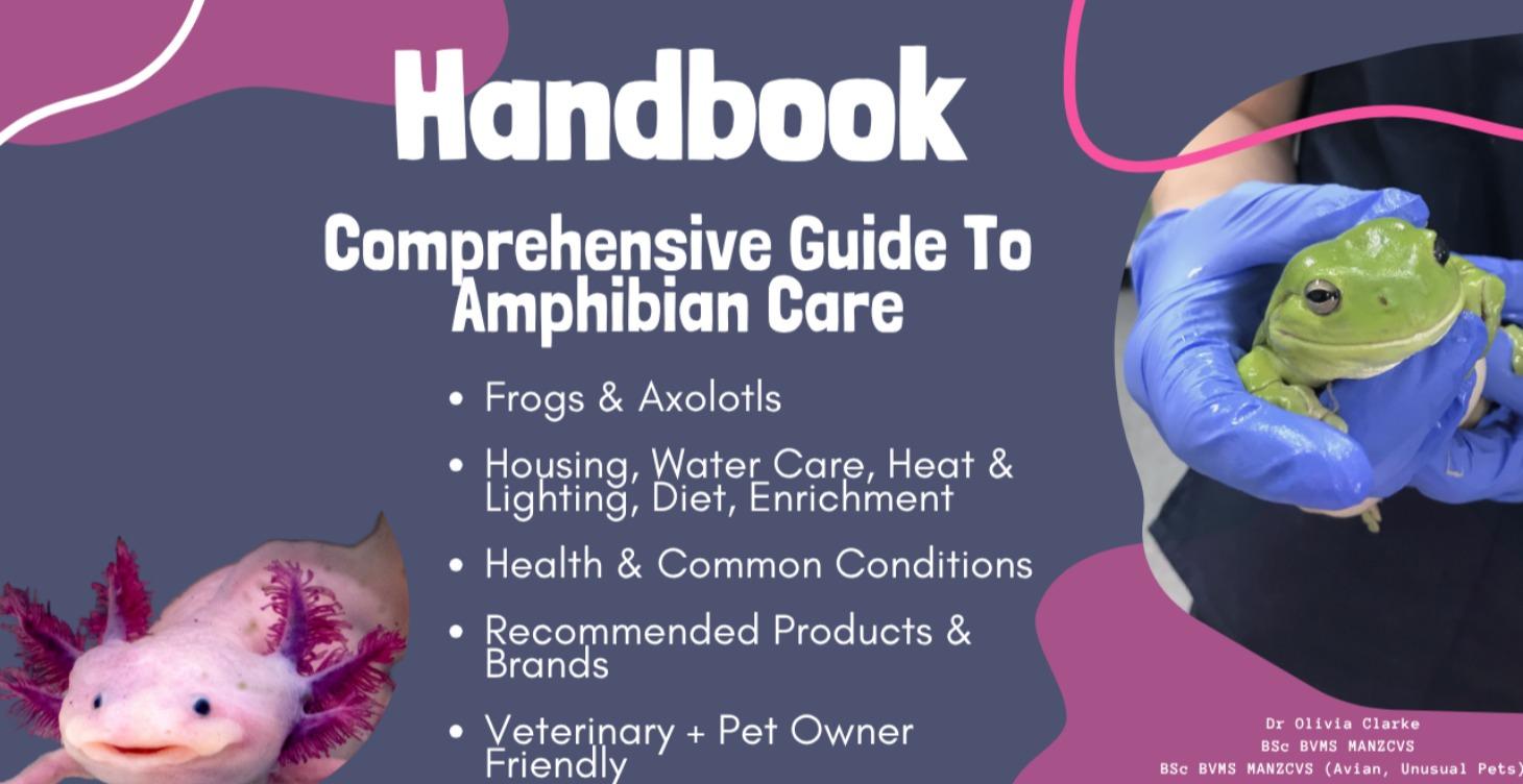 Complete Amphibian Guide - Frogs & Axolotls