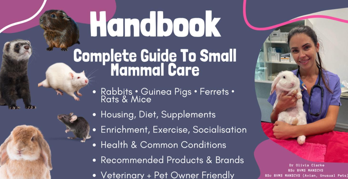 Complete Guide To Small Mammal Care