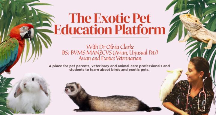 Exotic Pet Education Platform