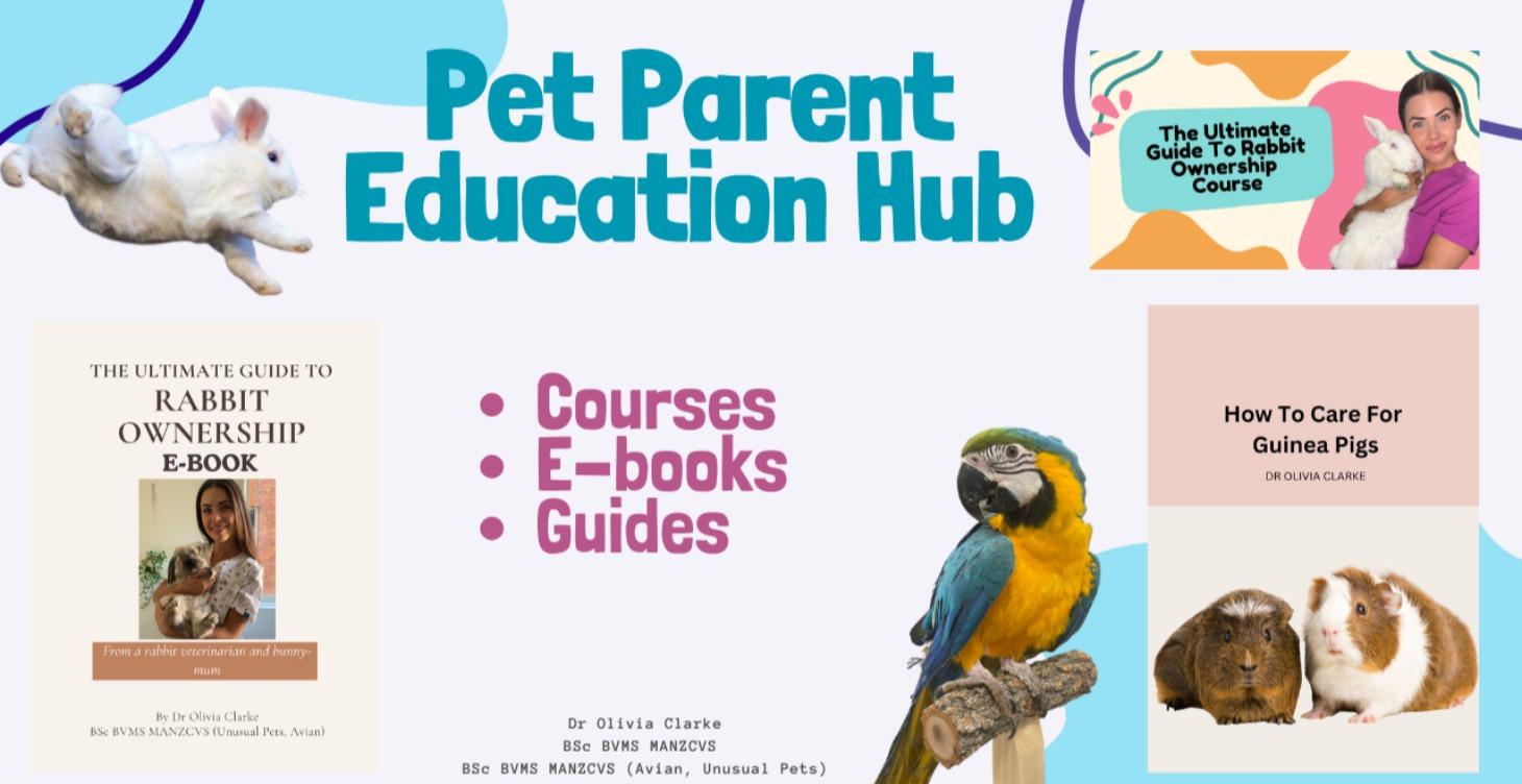 Pet Parent Hub