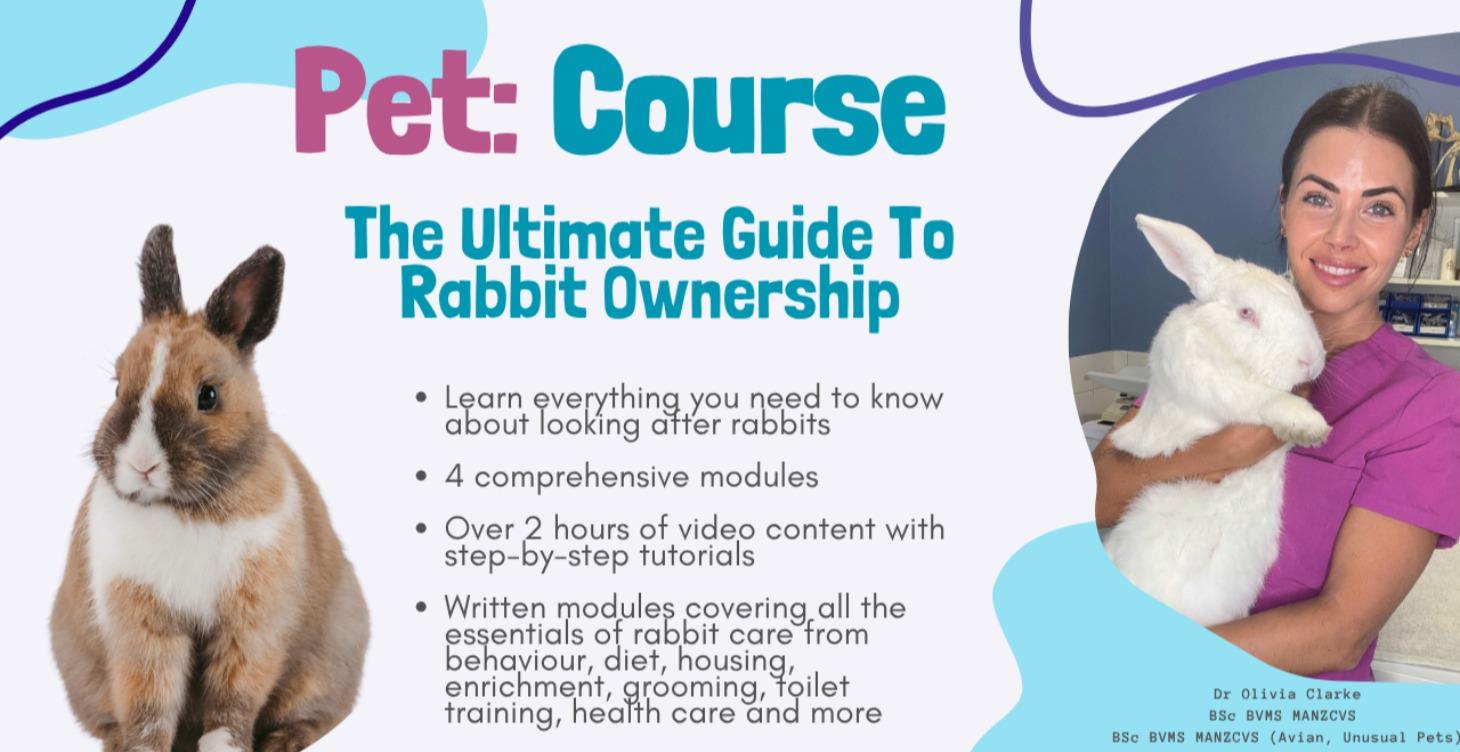 The Ultimate Guide To Rabbit Ownership Course