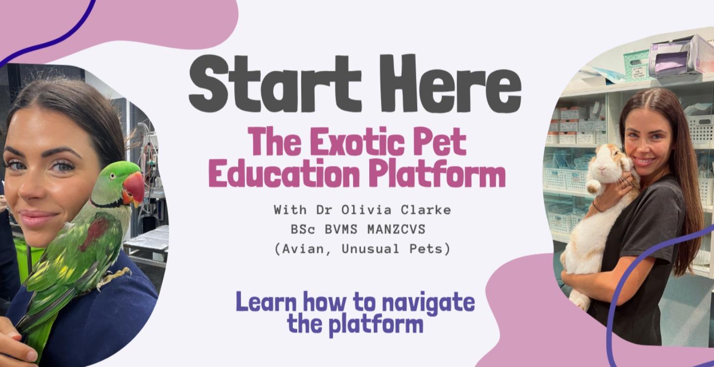 Start Here