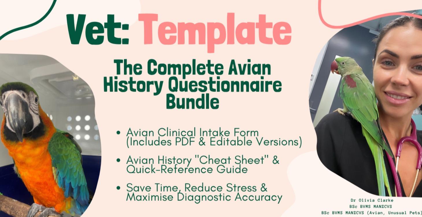 Avian History Questionnaire & Cheat Sheet Bundle
