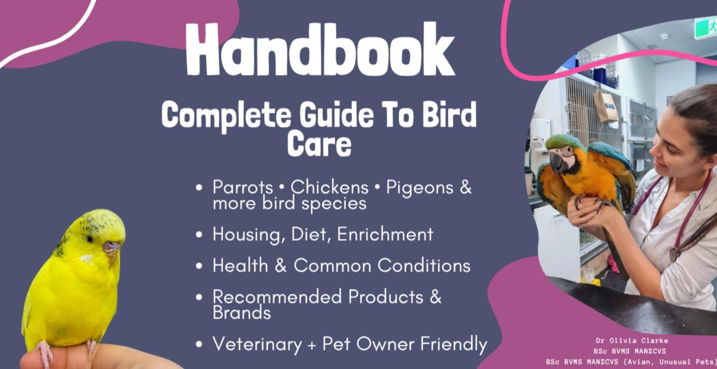 Complete Guide to Bird Care