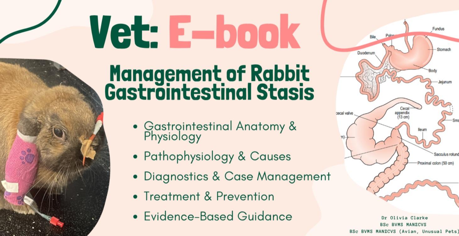 Management of Rabbit Gut Stasis E-Book