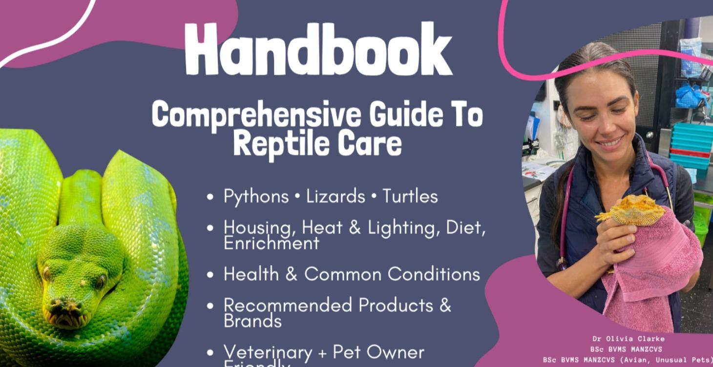 Complete Guide to Reptile Care