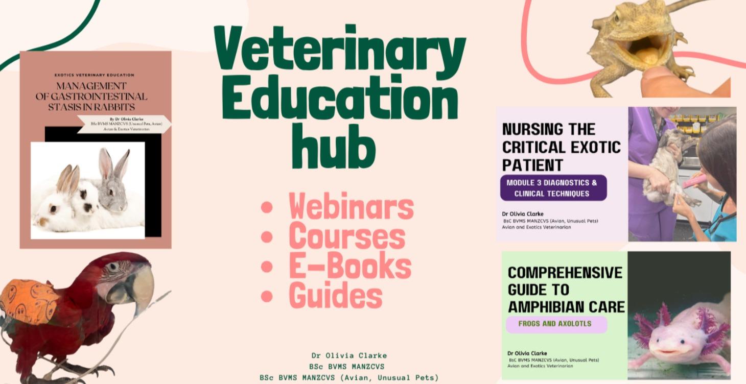 Veterinary Education Hub