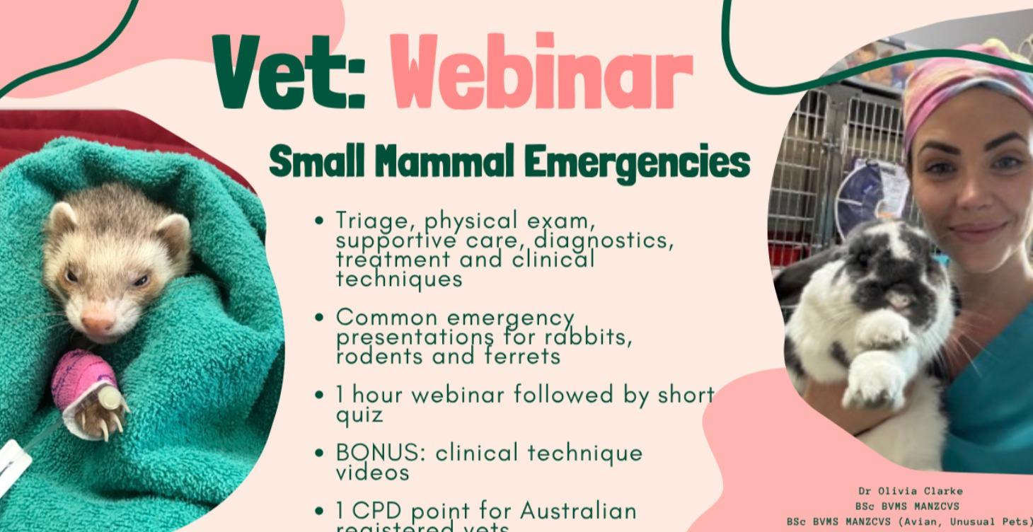 Small Mammal Emergencies Webinar + Bonus Videos