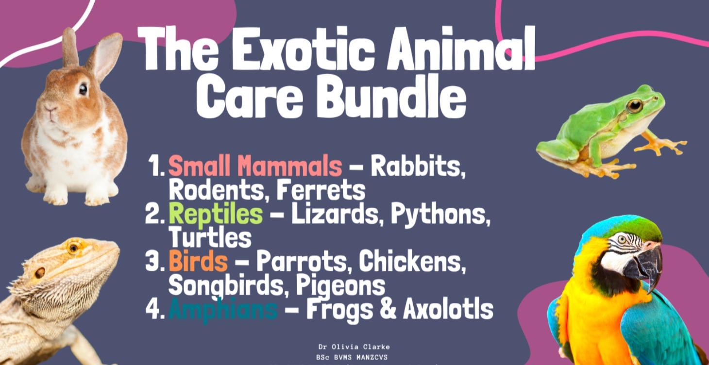 Exotic Pet Care Bundle - Discounted Package