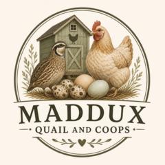 Colton Maddux