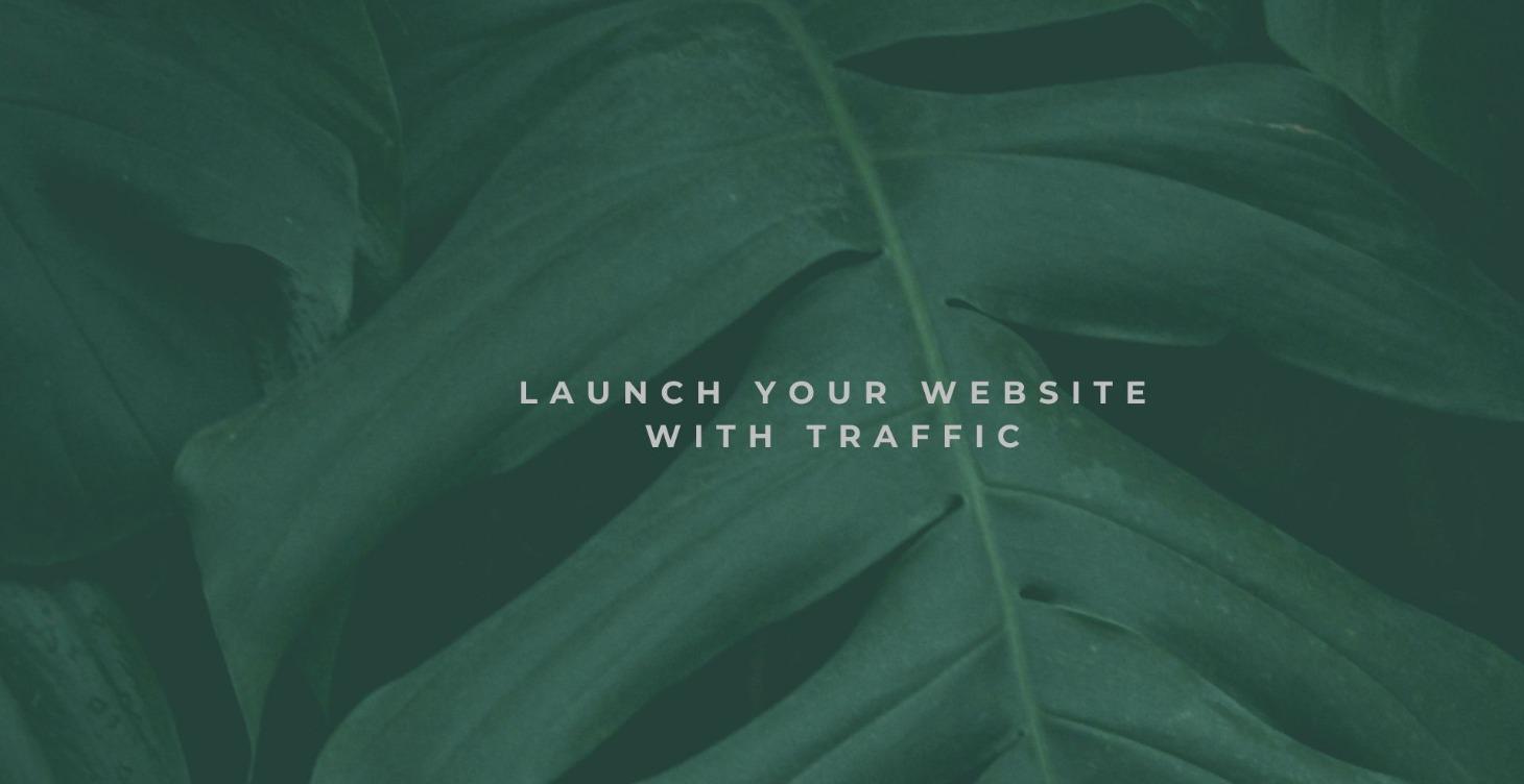 Launch Your Website With Traffic