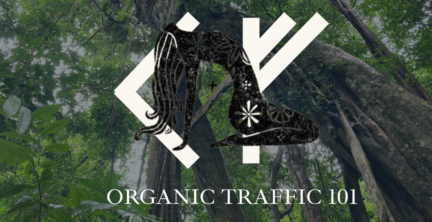 Organic Traffic 101 | 90-day SEO + LLM challenge