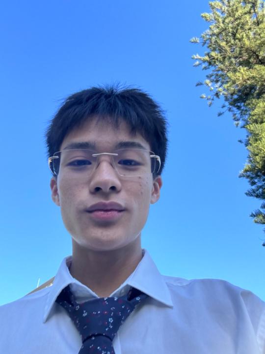 Tyson Luu