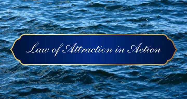 Law of Attraction in Action