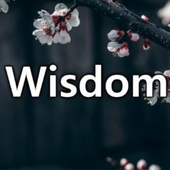 Wisdom Entertainment
