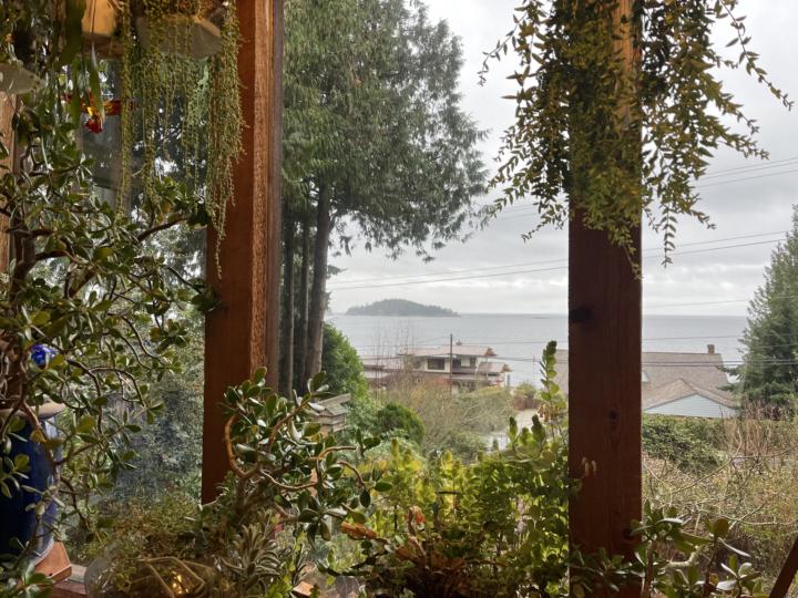 🌊 Weekly Energy Reading: Standing on the Threshold