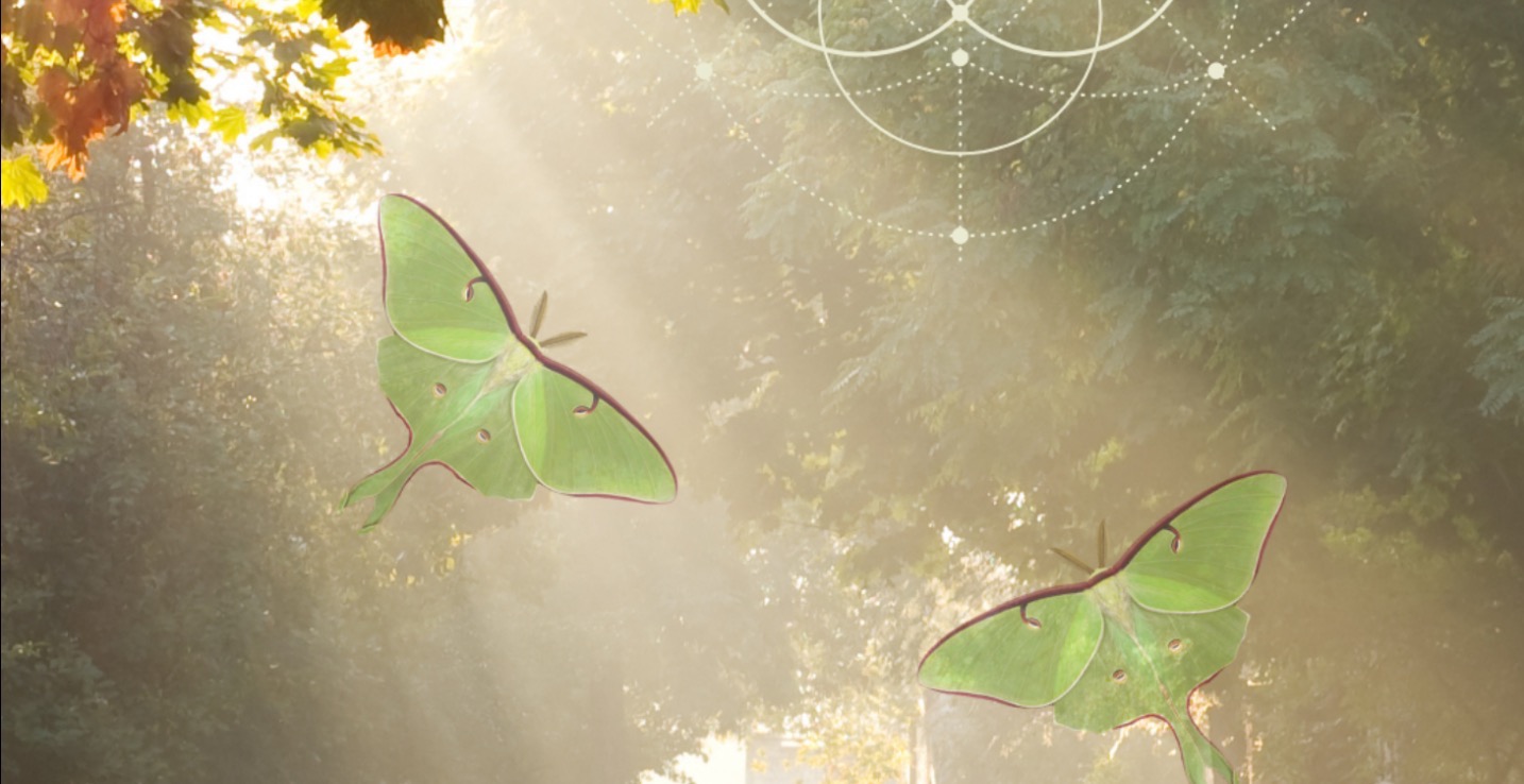 Beginning Your Spiritual Journey