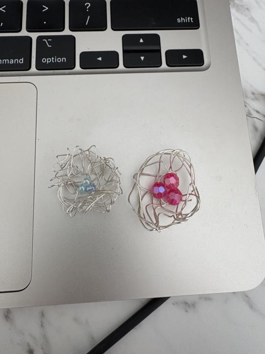 Bird Nest