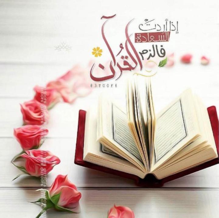 Mouad Mouad