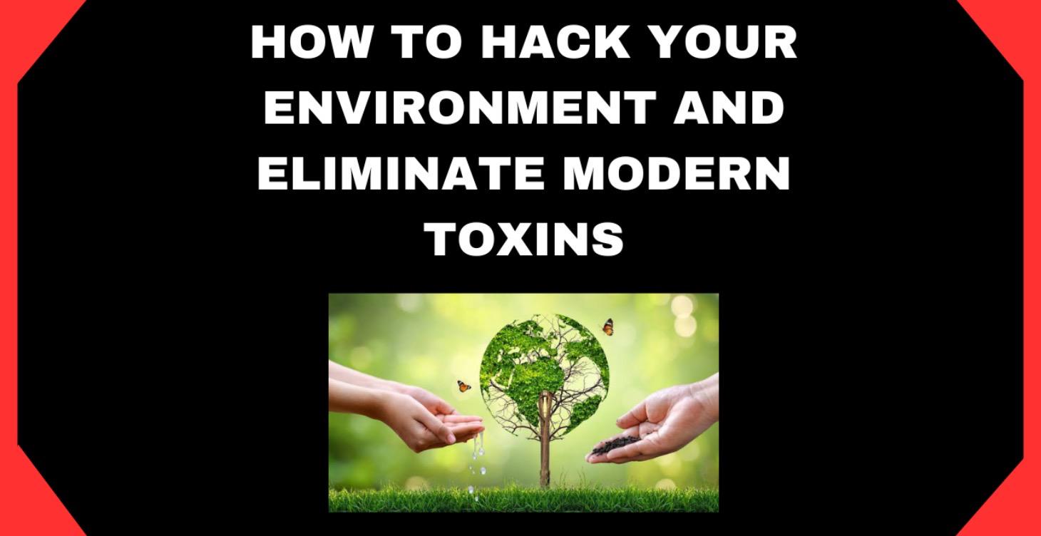 Course on the 6th primal pillar