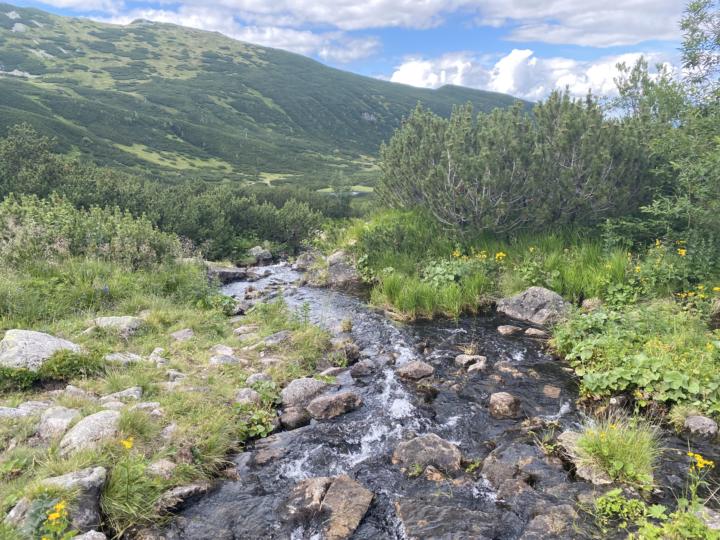 💧Water is not water anymore.