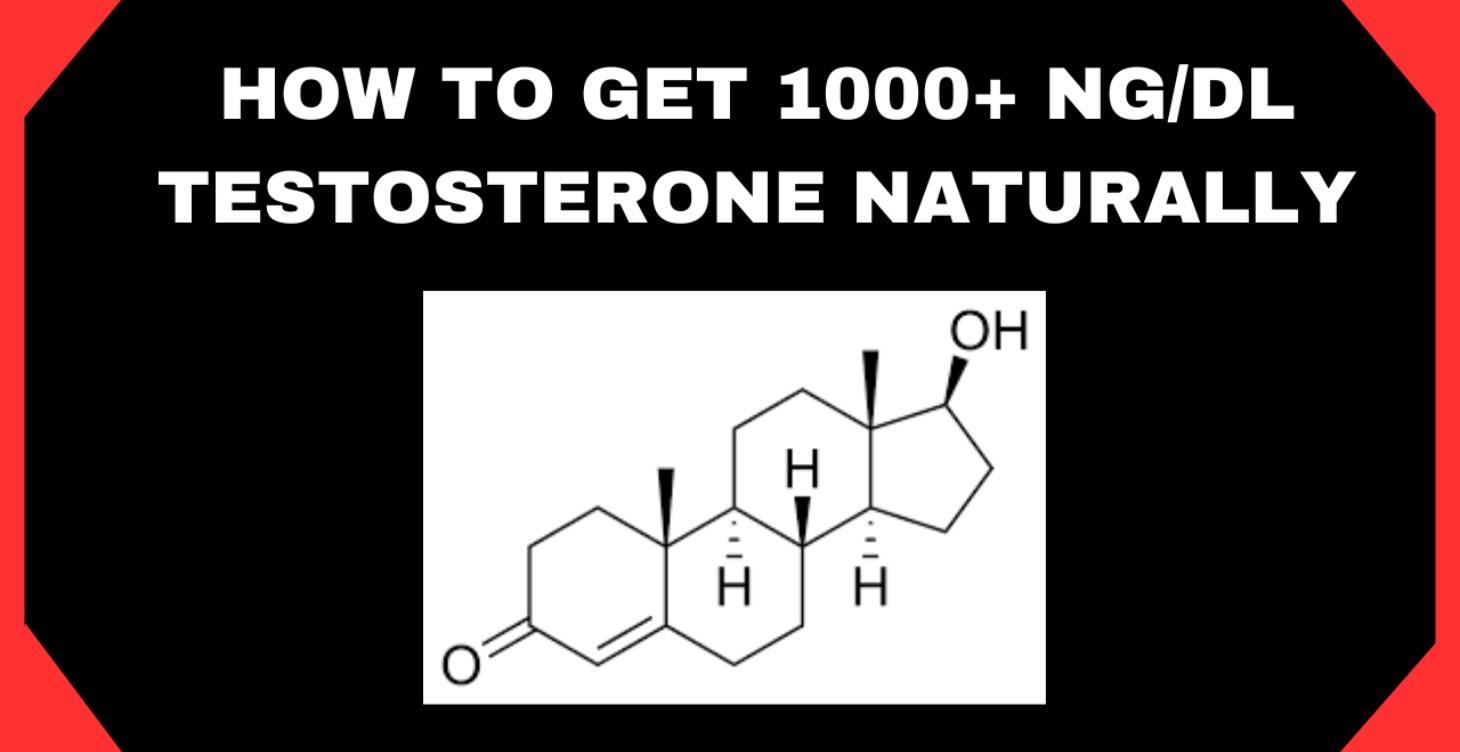 Course on testosterone