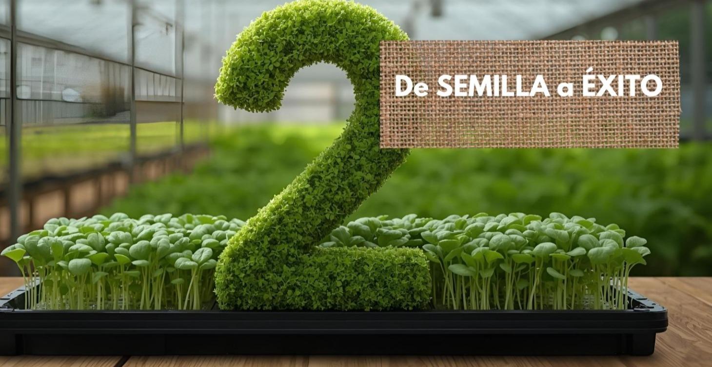De Semilla a Éxito - Tu Primer Paso en Microgreens
