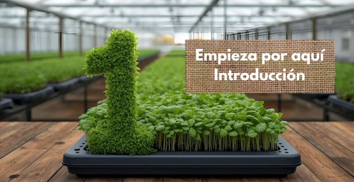 01. Empieza Aquí ( Bienvenida )