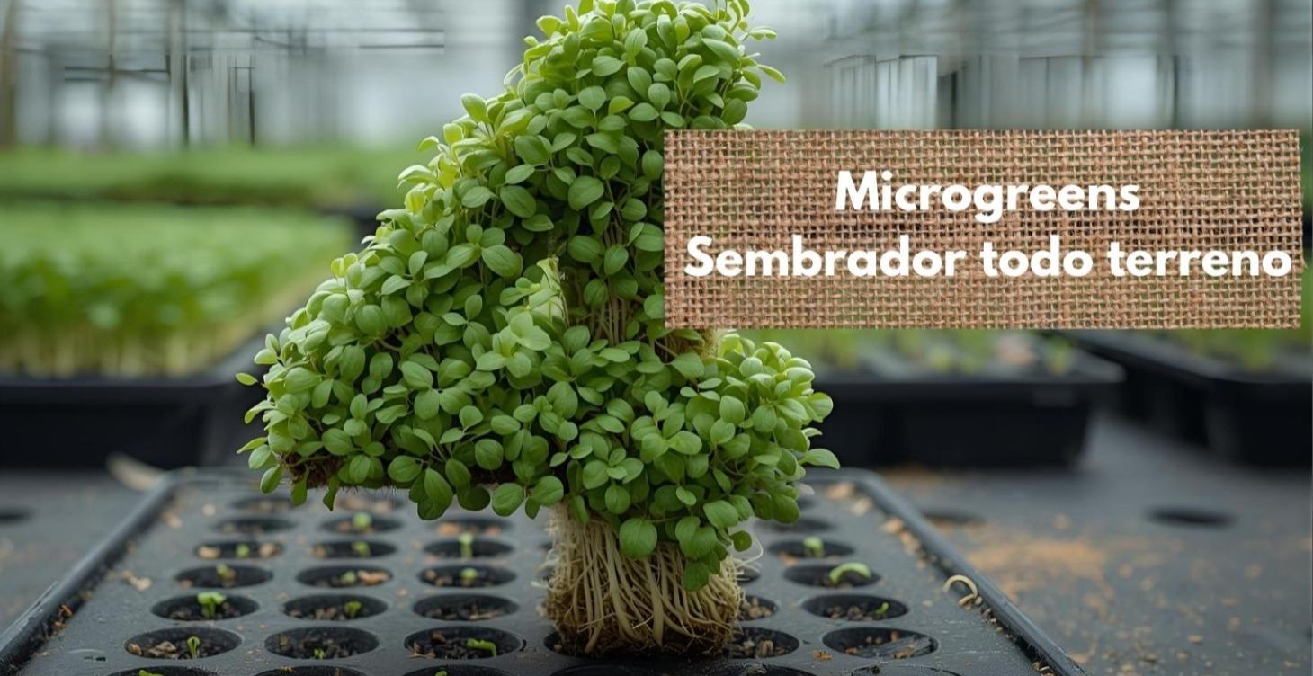 Sembrador Todo Terreno